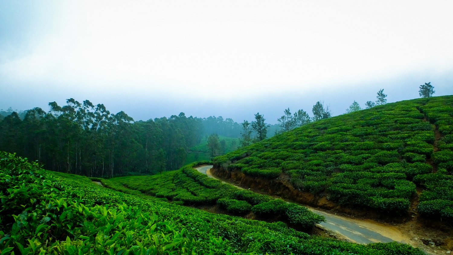 From exotic getaways to local escapes — your perfect trip starts here